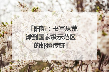 阳新：书写从荒滩到国家级示范区的虾稻传奇