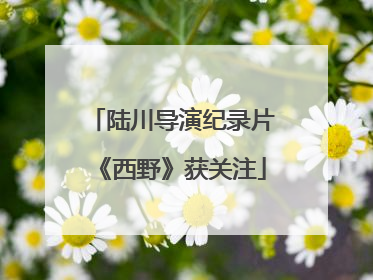 陆川导演纪录片《西野》获关注