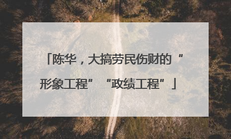 陈华，大搞劳民伤财的“形象工程”“政绩工程”