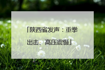 陕西省发声：重拳出击、高压震慑