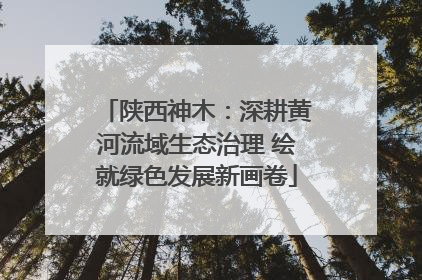 陕西神木：深耕黄河流域生态治理 绘就绿色发展新画卷
