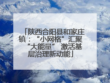 陕西合阳县和家庄镇：“小网格”汇聚“大能量” 激活基层治理新动能
