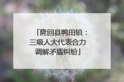 隆回县鸭田镇：三级人大代表合力调解矛盾纠纷