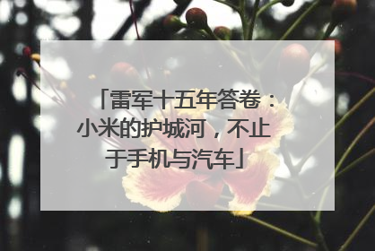 雷军十五年答卷：小米的护城河，不止于手机与汽车