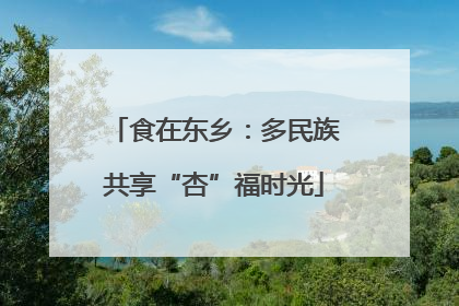 食在东乡：多民族共享“杏”福时光