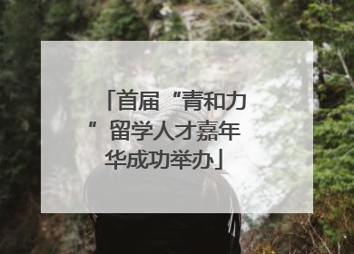 首届“青和力”留学人才嘉年华成功举办