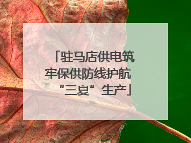 驻马店供电筑牢保供防线护航“三夏”生产