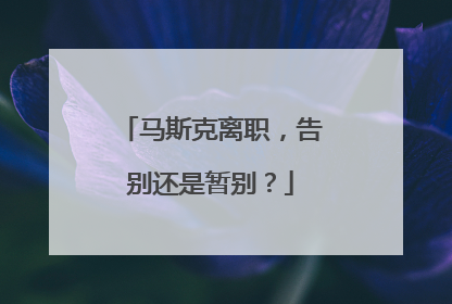 马斯克离职，告别还是暂别？