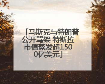 马斯克与特朗普公开骂架 特斯拉市值蒸发超1500亿美元