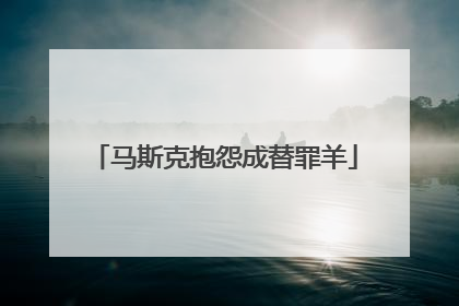 马斯克抱怨成替罪羊