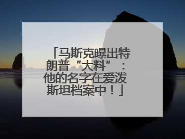 马斯克曝出特朗普“大料”：他的名字在爱泼斯坦档案中！