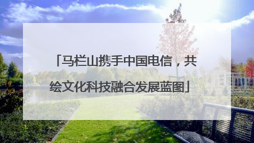 马栏山携手中国电信，共绘文化科技融合发展蓝图