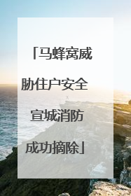 马蜂窝威胁住户安全 宣城消防成功摘除