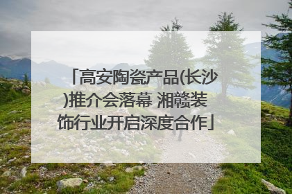 高安陶瓷产品(长沙)推介会落幕 湘赣装饰行业开启深度合作