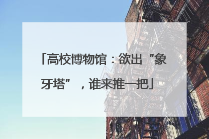 高校博物馆：欲出“象牙塔”，谁来推一把