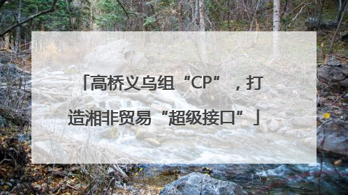 高桥义乌组“CP”，打造湘非贸易“超级接口”