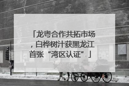 龙粤合作共拓市场，白桦树汁获黑龙江首张“湾区认证”