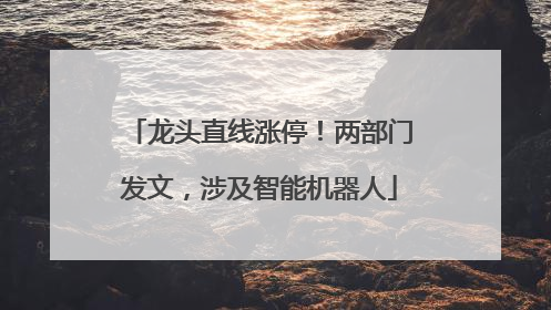 龙头直线涨停！两部门发文，涉及智能机器人