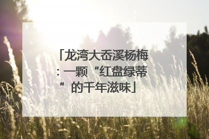龙湾大岙溪杨梅：一颗“红盘绿蒂”的千年滋味