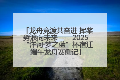 龙舟竞渡共奋进 挥桨劈浪向未来——2025“洋河·梦之蓝”杯宿迁端午龙舟赛侧记