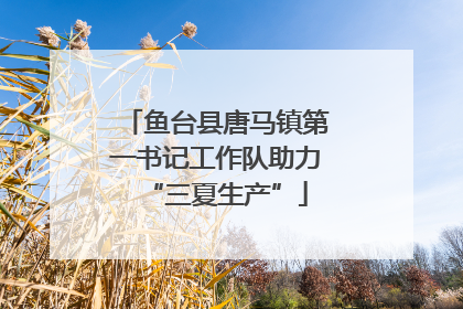 鱼台县唐马镇第一书记工作队助力“三夏生产”