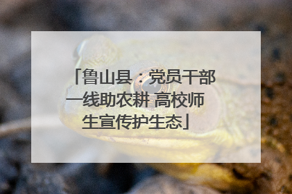 鲁山县：党员干部一线助农耕 高校师生宣传护生态
