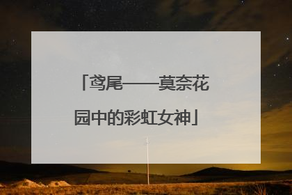 鸢尾——莫奈花园中的彩虹女神