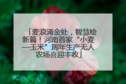 麦浪涌金处，智慧绘新篇！河南首家“小麦—玉米”周年生产无人农场喜迎丰收