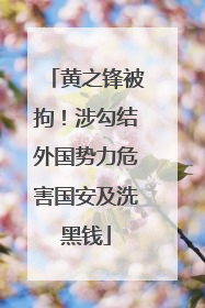 黄之锋被拘！涉勾结外国势力危害国安及洗黑钱