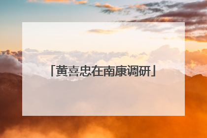 黄喜忠在南康调研