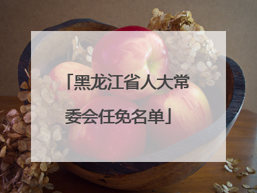 黑龙江省人大常委会任免名单
