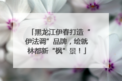 黑龙江伊春打造“伊法调”品牌，绘就林都新“枫”景！
