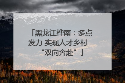黑龙江桦南：多点发力 实现人才乡村“双向奔赴”