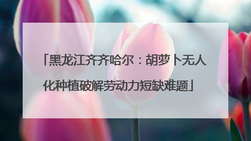 黑龙江齐齐哈尔：胡萝卜无人化种植破解劳动力短缺难题