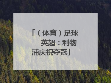 （体育）足球——英超：利物浦庆祝夺冠
