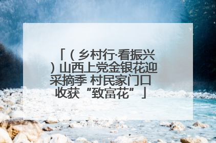 （乡村行·看振兴）山西上党金银花迎采摘季 村民家门口收获“致富花”