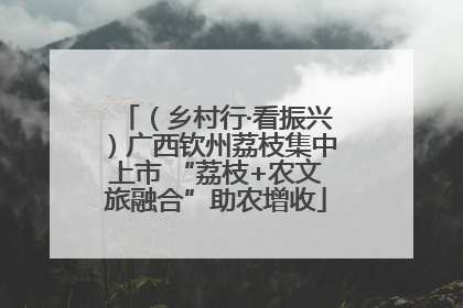 （乡村行·看振兴）广西钦州荔枝集中上市 “荔枝+农文旅融合”助农增收