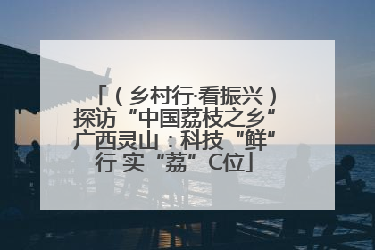 （乡村行·看振兴）探访“中国荔枝之乡”广西灵山：科技“鲜”行 实“荔”C位