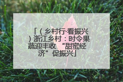 （乡村行·看振兴）浙江乡村：时令果蔬迎丰收 “甜蜜经济”促振兴