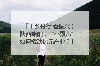 （乡村行·看振兴）陕西略阳：“小瓢儿”如何撬动亿元产业？
