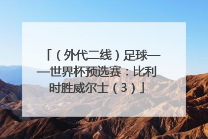 （外代二线）足球——世界杯预选赛：比利时胜威尔士（3）