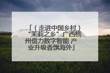 （走进中国乡村）“茉莉之乡”广西横州借力数字智能 产业升级香飘海外