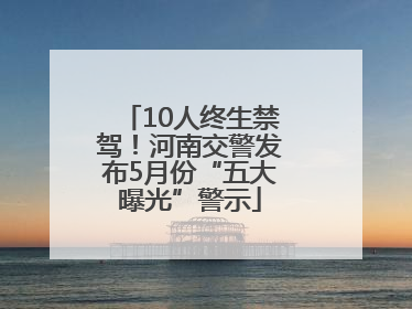 10人终生禁驾！河南交警发布5月份“五大曝光”警示