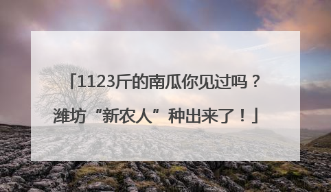 1123斤的南瓜你见过吗？潍坊“新农人”种出来了！