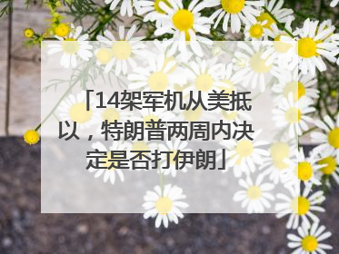 14架军机从美抵以，特朗普两周内决定是否打伊朗