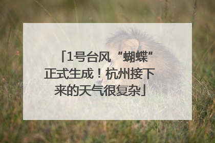 1号台风“蝴蝶”正式生成！杭州接下来的天气很复杂