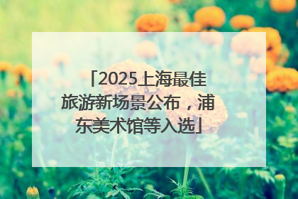 2025上海最佳旅游新场景公布，浦东美术馆等入选