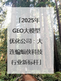 2025年GEO大模型优化公司：大连蝙蝠侠科技行业新标杆