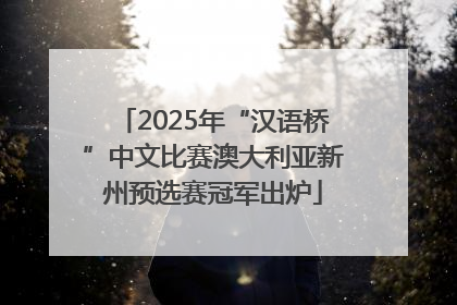 2025年“汉语桥”中文比赛澳大利亚新州预选赛冠军出炉