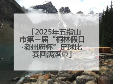 2025年五指山市第三届“桐林假日·老州府杯”足球比赛圆满落幕